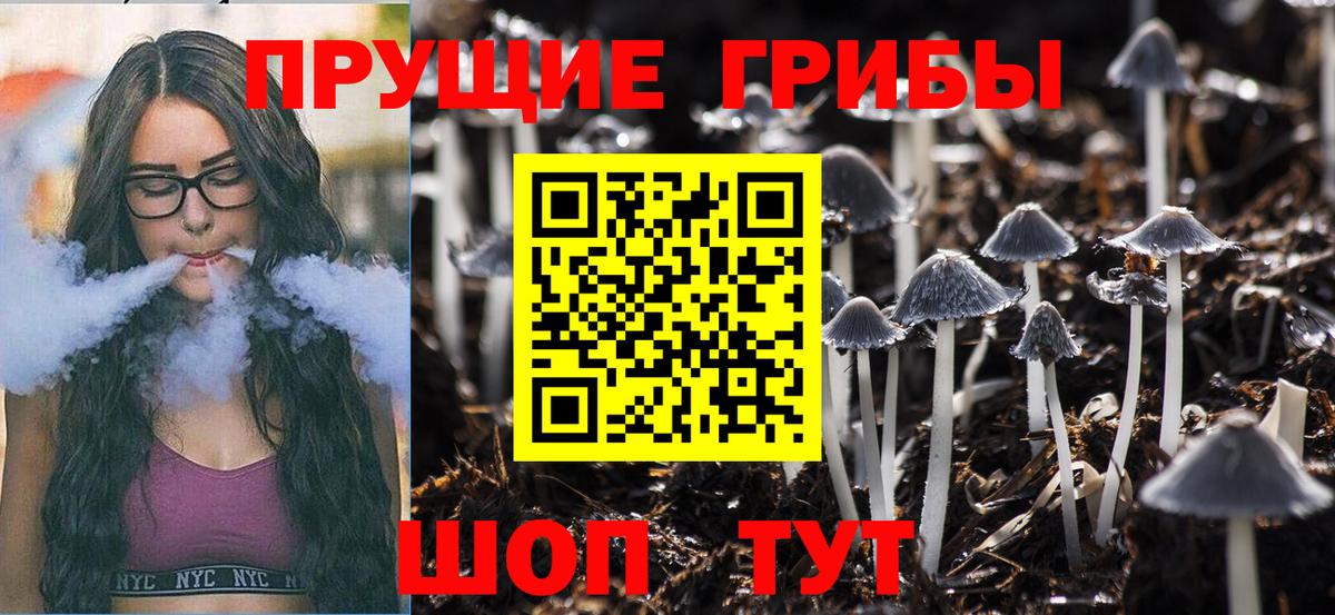 Псилоцибиновые грибы ЛСД  Вход с VPN  Михайловка  Псилоцибиновые грибы MAGIC MUSHROOMS 