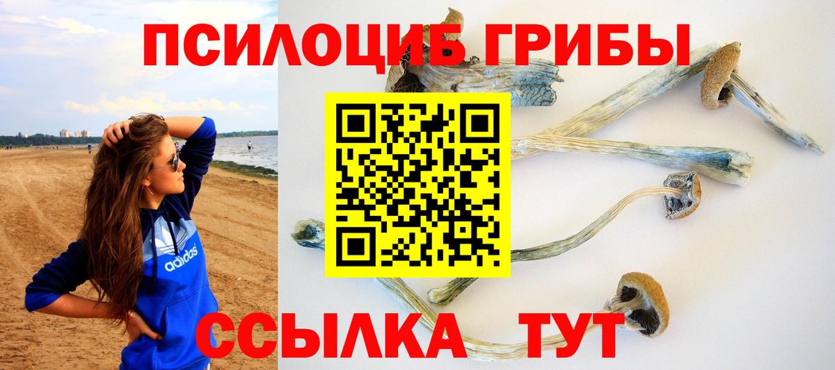 Галлюциногенные грибы мицелий Михайловка
